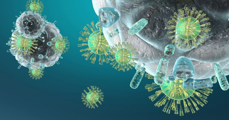 How Immunotherapy Kills Cancer by Helping the Immune System