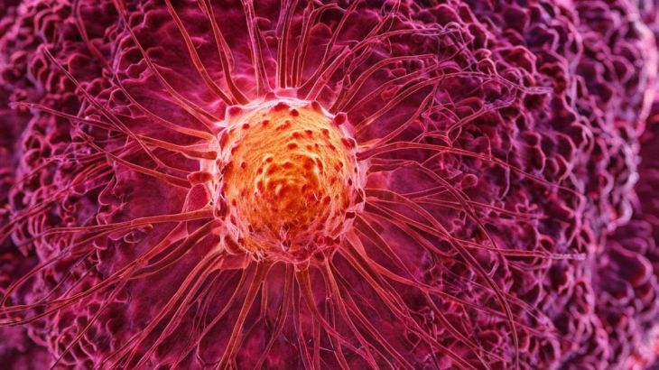 Why Some Cancers Come Back