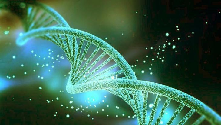 Inherited Risk vs Acquired Mutation of Cancer