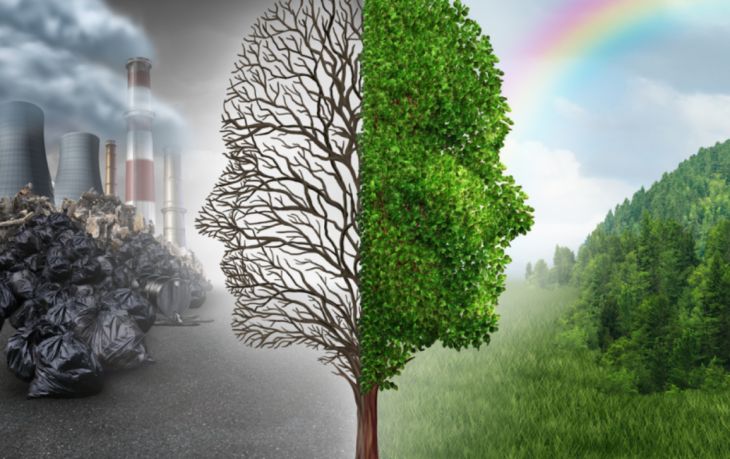 Can Cancer Develop Due to Environmental Change