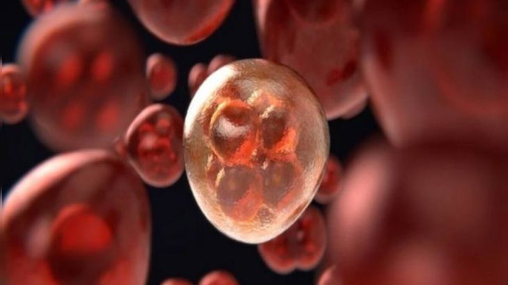 Cancer Stem Cells: The Hidden Root of Tumor Regrowth