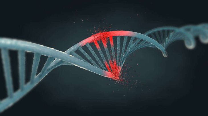 Role of DNA Repair Failure in Cancer Formation