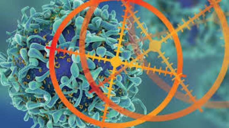 Precision Medicine and Targeted Therapy in Cancer Treatment