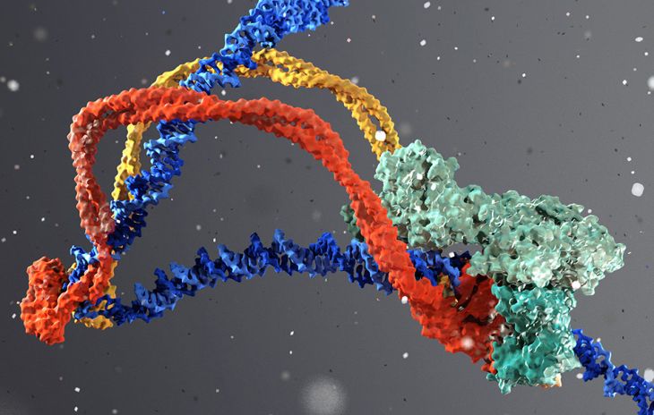 How Epigenetics Changes Gene Expression Without Altering DNA
