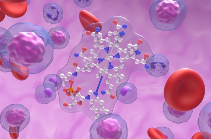 Importance of Vitamin B12 in DNA Synthesis and Cell Division