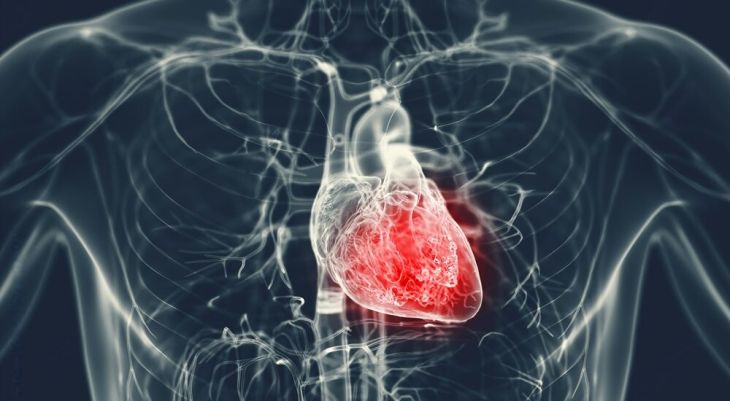 How Hypertension Increases the Risk of Heart Disease