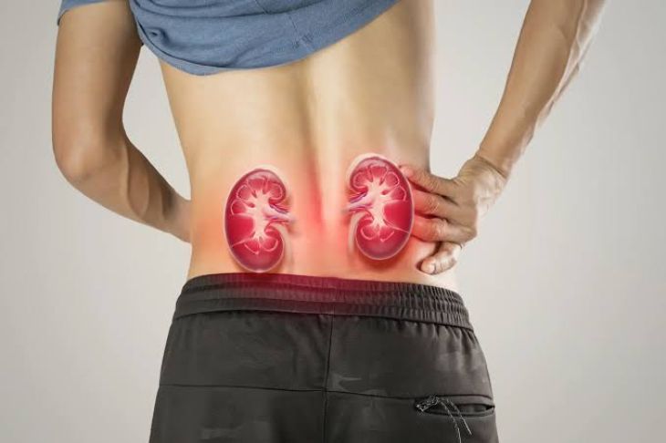Not Unusual Kidney Problems and Their Caution Symptoms