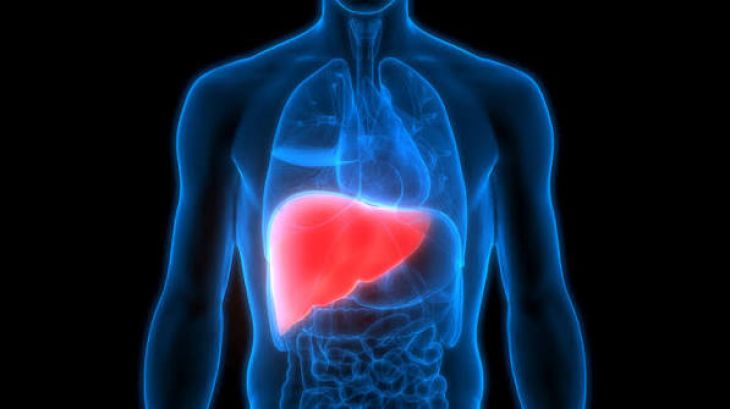 How Liver Diseases Affect Overall Health