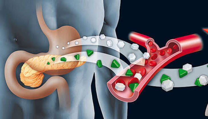 How Pancreatic Diseases Can Affect the Body