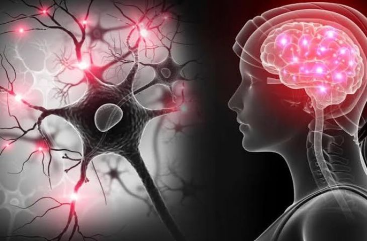 Early Warning Signs of Brain Sicknesses