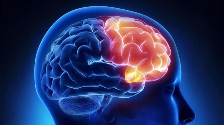 Causes and Symptoms of Common Brain Disorders