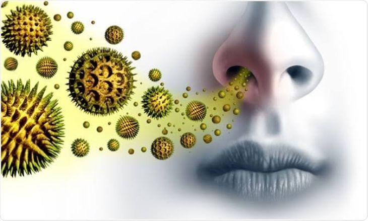 Understanding Antihistamines and When They Are Used