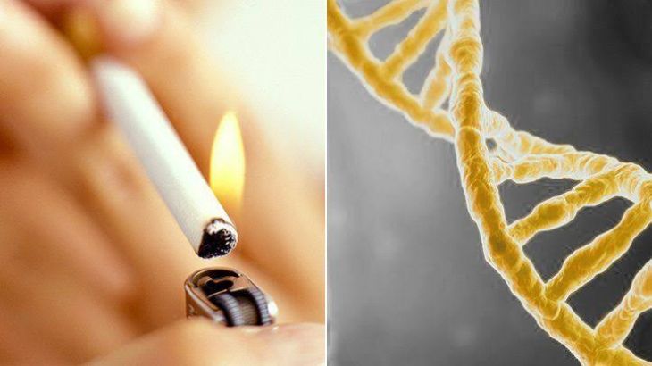 Which Cancer Risk Factors Can You Control and Which Can You Not?