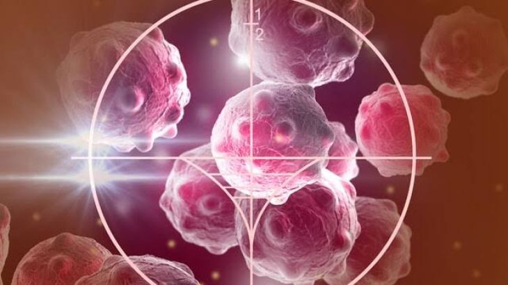How Do Cancer Cells Grow and Spread in the Body?