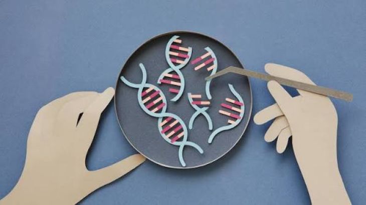 How CRISPR Gene Editing Could Transform Disease Treatment