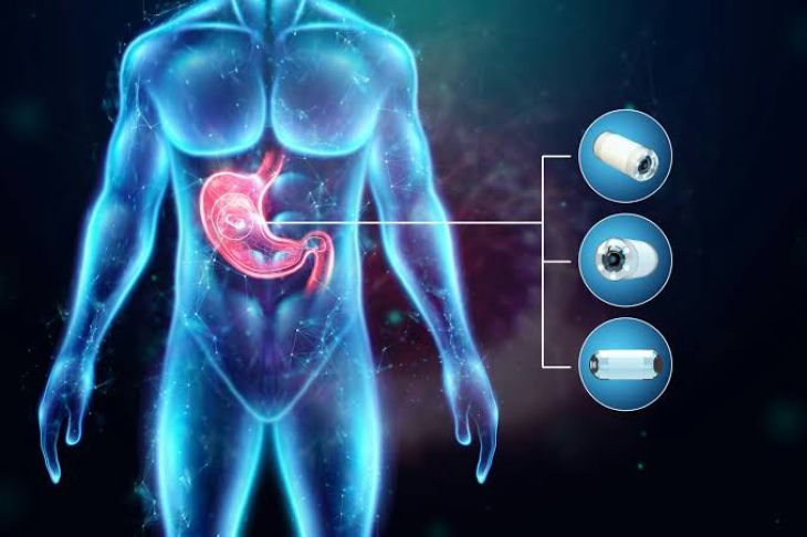How Medicines Are Absorbed and Processed by the Body