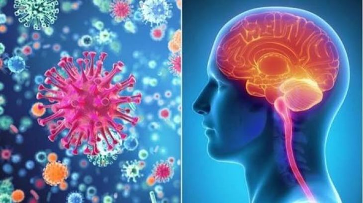 What Is Meningitis and How Can It Affect the Brain?