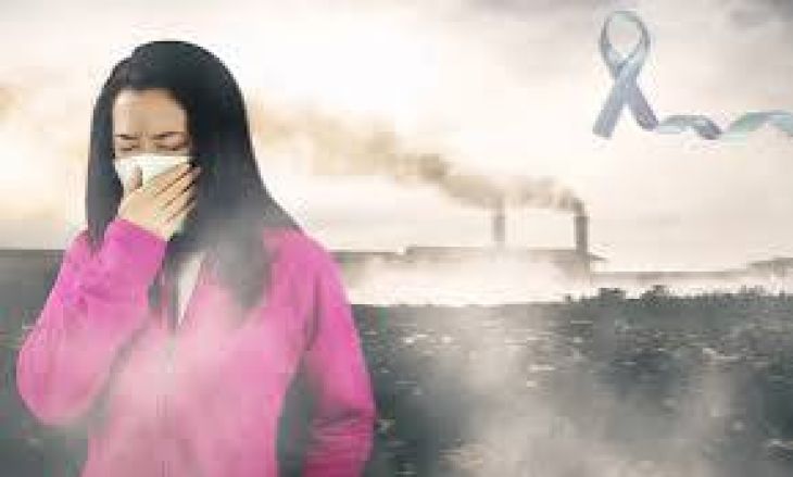 How Can Environmental Pollution Influence Cancer Risk?