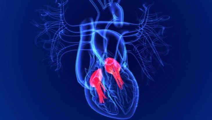 What Is Heart Valve Disease and What Are Its Warning Signs?