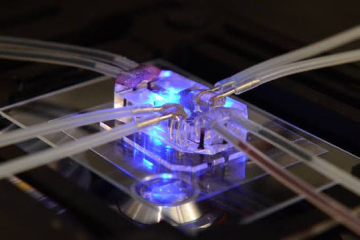 How Organ-on-a-Chip Technology Is Changing Medical Research