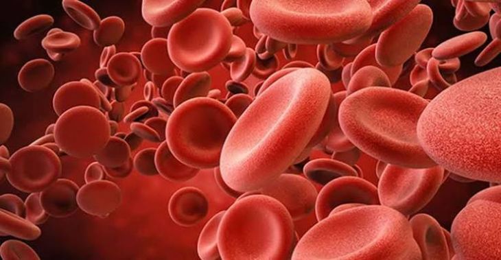 What Are Blood Cancers and What Are the Different Types?
