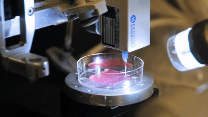 How 3D Bioprinting Could Help Create Replacement Tissues