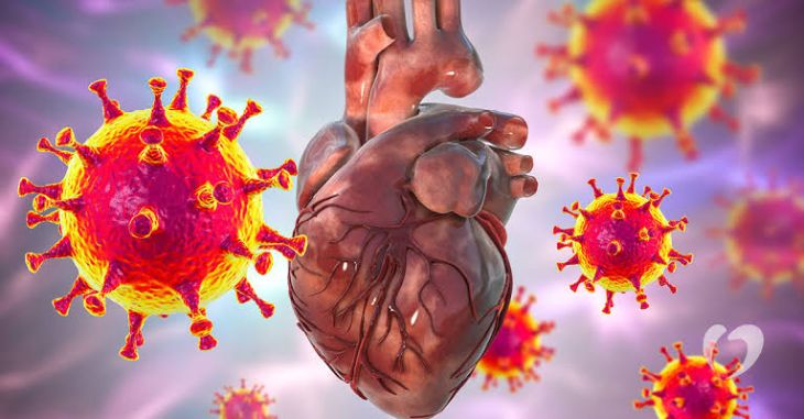 What Is Heart Inflammation and How Can It Affect Heart Function?