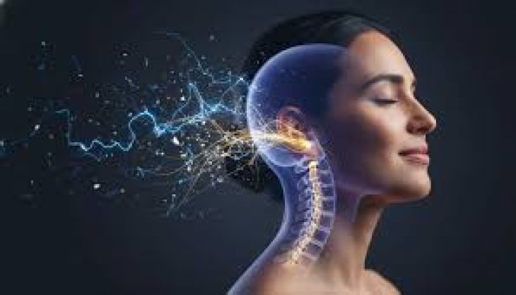 Understanding Tinnitus and Its Connection to the Nervous System
