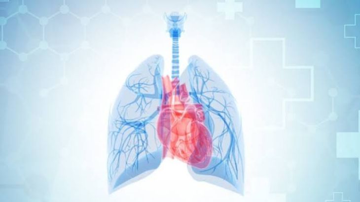 What Is Pulmonary Hypertension and How Does It Affect the Heart?