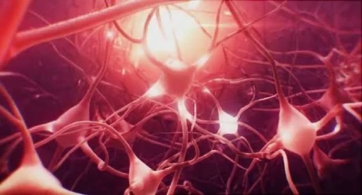 What Is Epilepsy and How Does It Affect the Brain?