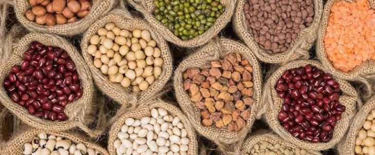 How Legumes Provide Essential Protein and Nutrients