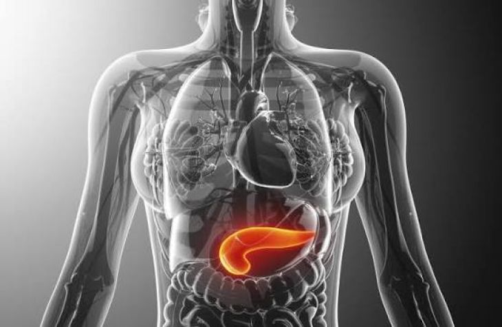 How Pancreatic Disorders Can Affect Digestion and Blood Sugar