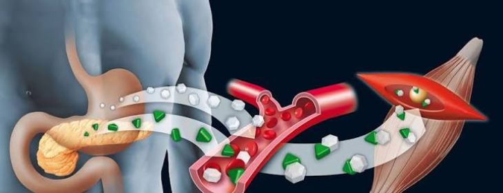 Understanding Common Pancreatic Diseases and Their Warning Signs