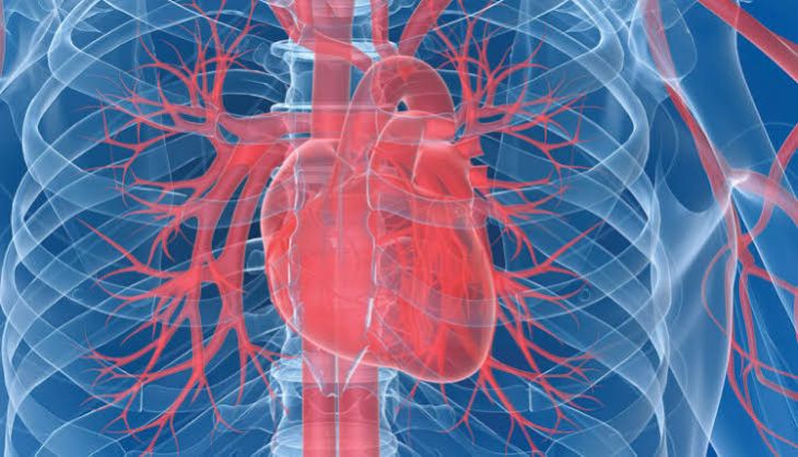 What Is Endocarditis and How Can It Affect the Heart?