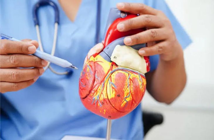 Understanding Pericardial Effusion and Its Effects on the Heart