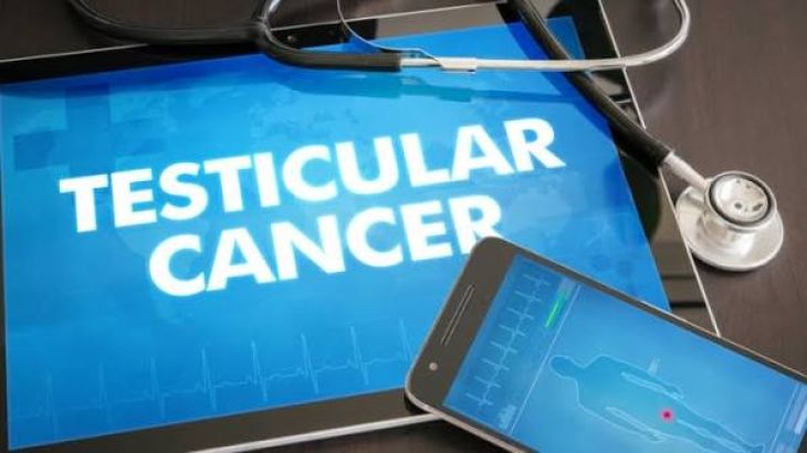 What Are the Symptoms, Risk Factors, and Treatments for Testicular Cancer?
