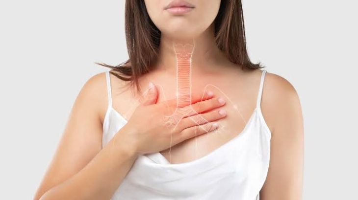 Understanding Common Disorders of the Esophagus and Their Symptoms