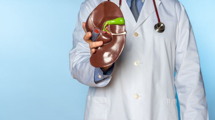 What Are the Risk Factors, Symptoms, and Diagnosis of Gallbladder Cancer?