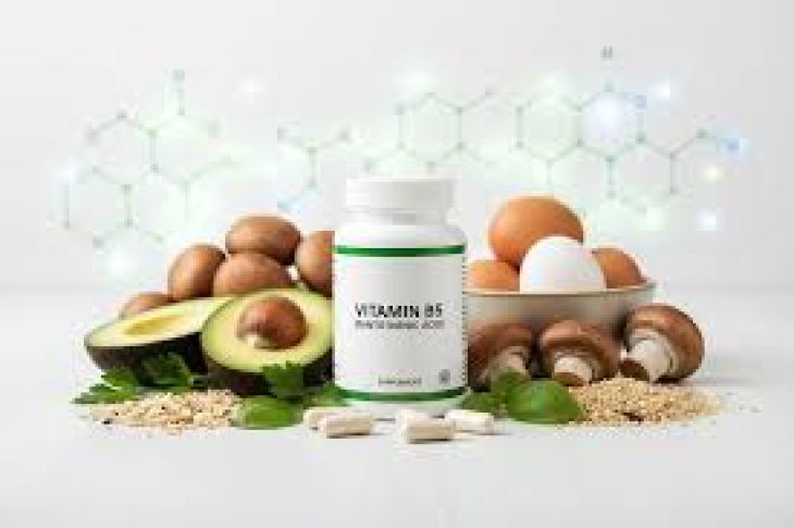 A Complete Guide to Why Vitamin B5 Is Important for Energy and Metabolism