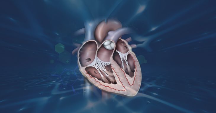 Understanding Heart Failure With Preserved Ejection Fraction