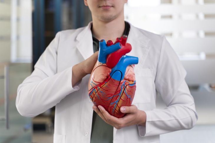 Understanding Coronary Microvascular Disease and Its Symptoms
