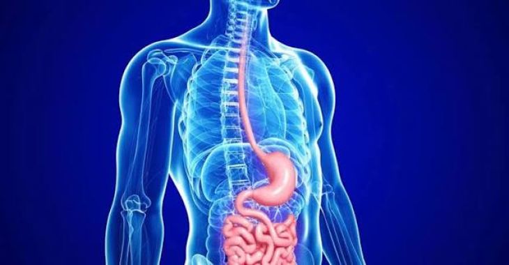 What Is Gastroparesis and How Does It Affect Stomach Emptying?