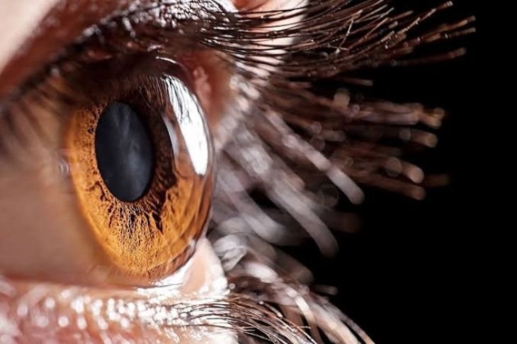 Understanding Common Disorders of the Cornea and Their Effects on Vision
