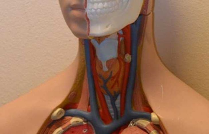What Is Achalasia and How Does It Affect Swallowing?
