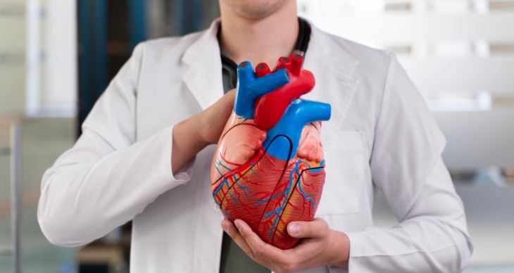 What Is Arrhythmogenic Cardiomyopathy and How Can It Affect Heart Rhythm?