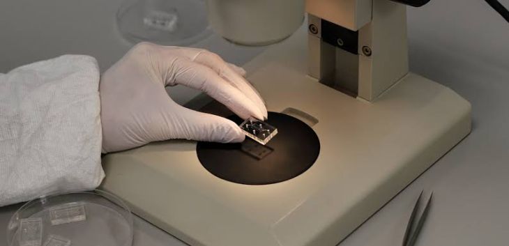 How Could Microfluidic Chips Help Researchers Study Diseases Using Tiny Samples?